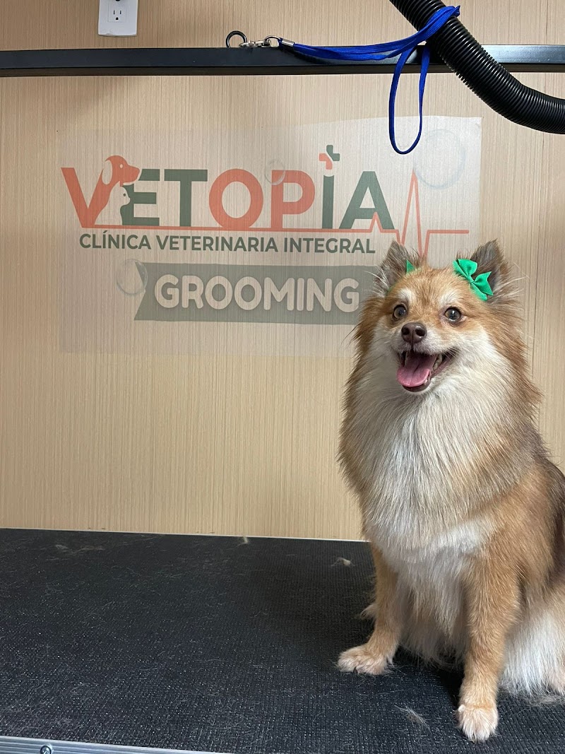 VETOPIA Clínica Veterinaria Integral