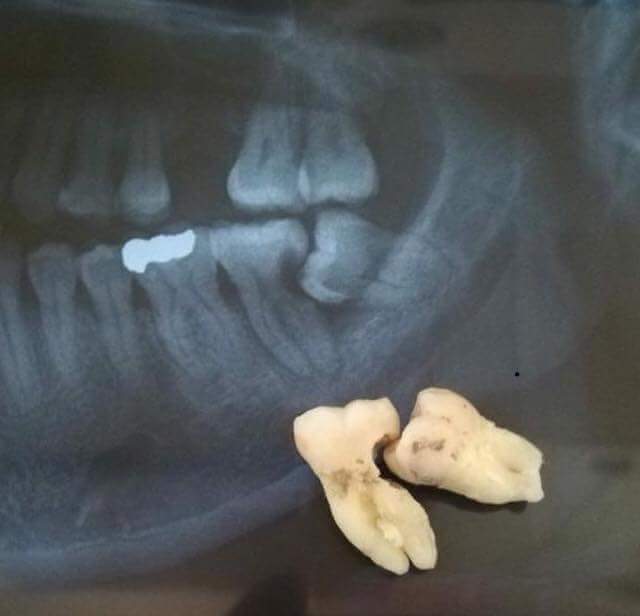 Benítez Dental Studio