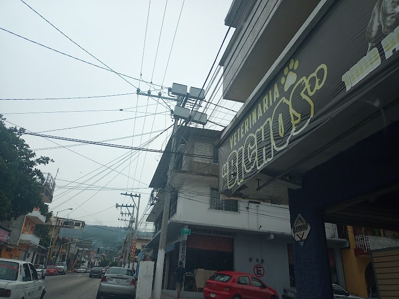 Clinica Veterinaria bichos