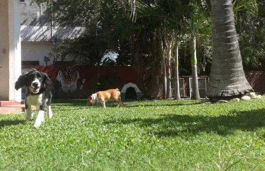 Hospital Veterinario San Andrés