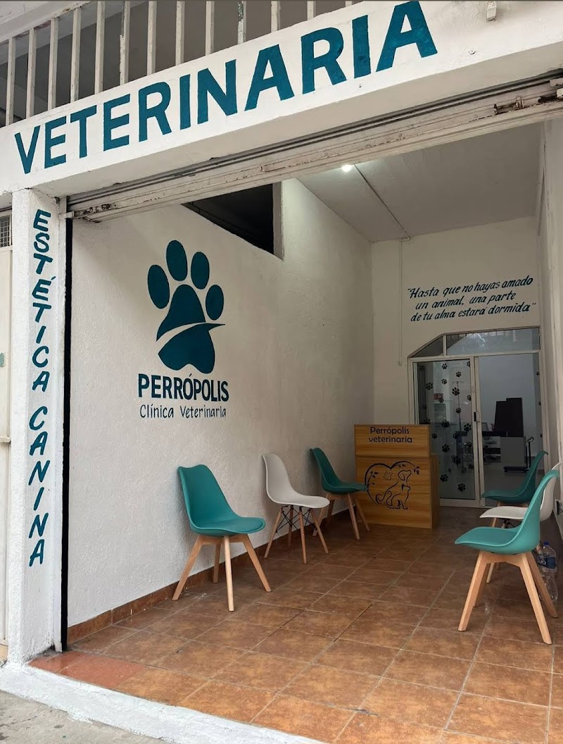 Perrópolis Clínica Veterinaria