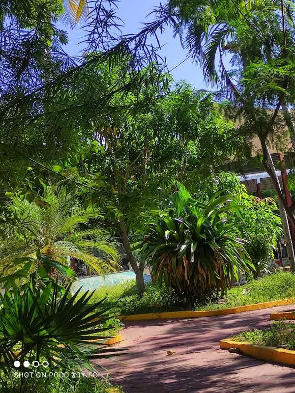 Parque Merle Oberon