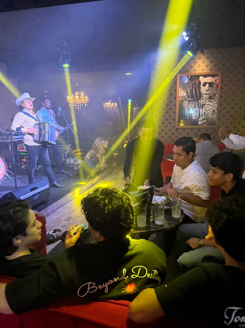 KING LEON BAR