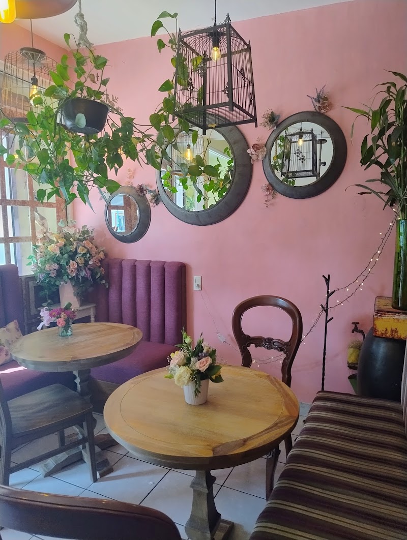 Café Violeta