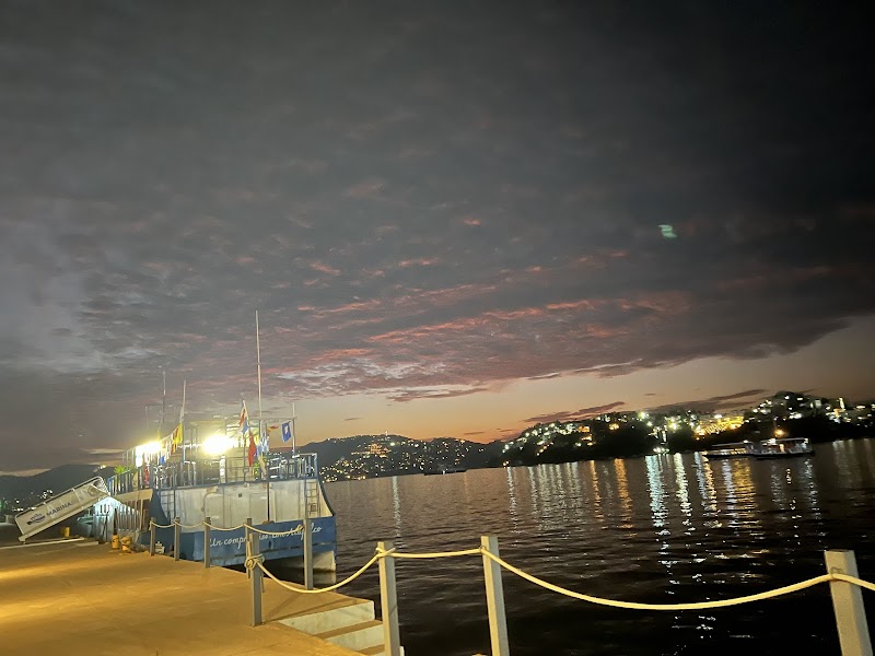 Marinabus