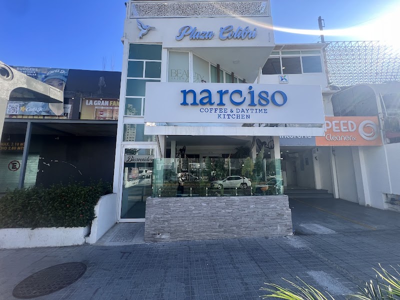 Narciso